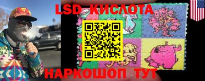 стаф Боровичи