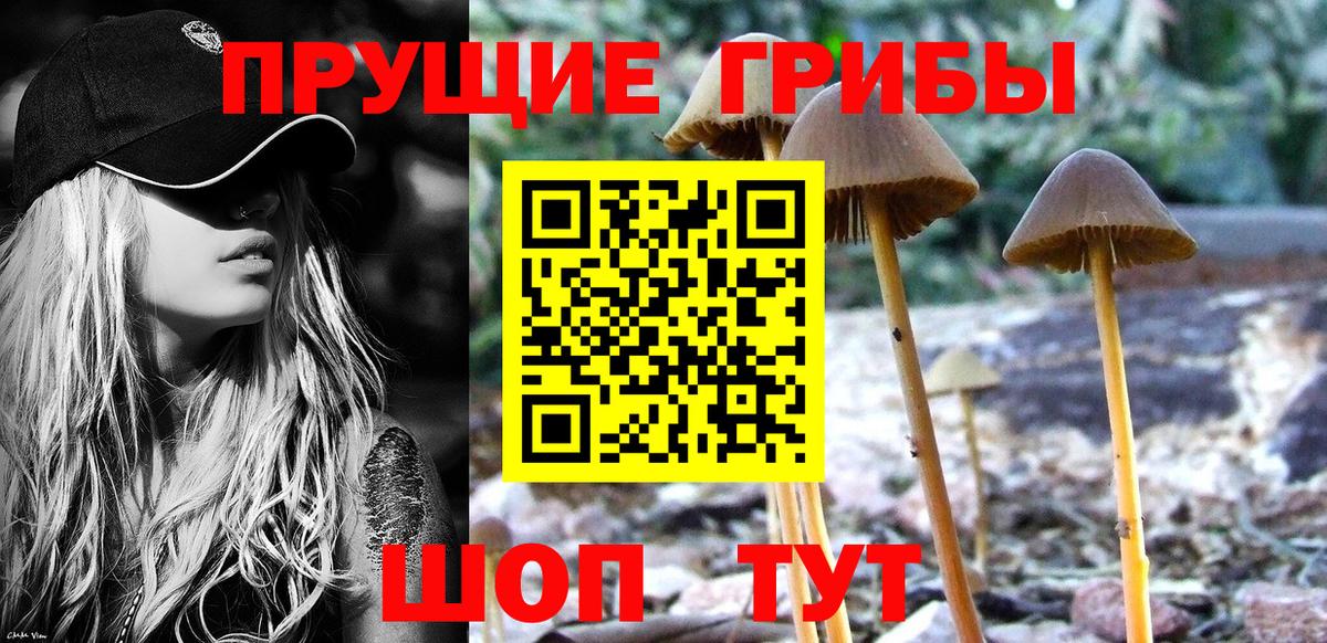 Галлюциногенные грибы ЛСД Воскресенск